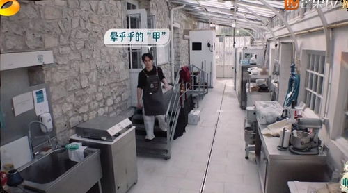 《中餐廳8》爭(zhēng)議升級(jí) 林述巍被鎖冷庫(kù)，導(dǎo)演做法引眾怒